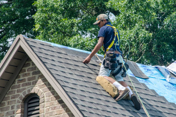 Quick and Trustworthy Emergency Roof Repair Services in Laughlin, NV